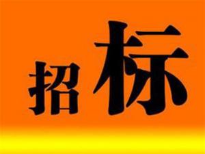 三門(mén)峽市甘棠路下穿陜州大道橋下裝飾工程磋商公告